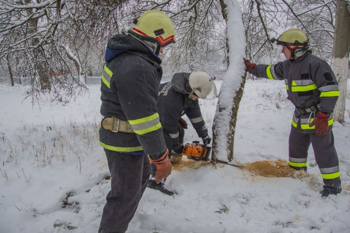 Рятувальники ліквідовували пожежу у котельні та боролися з деревом