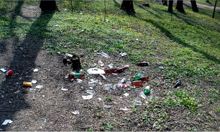 Парк у центрі Чернівців потопає у смітті