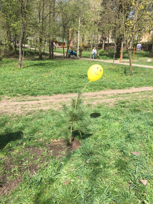 Боєць АТО із Донецька саджав у Чернівцях Дерево Миру