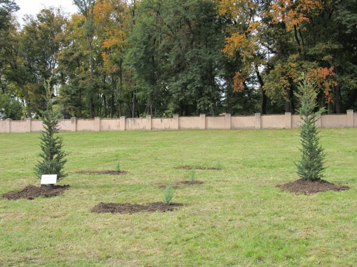 Біблійний сад у ЧНУ не росте через політичну нестабільність