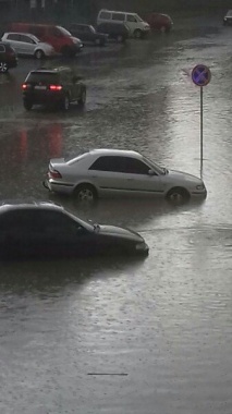 Злива у Чернівцях – поламані дерева і машини по вікна у воді