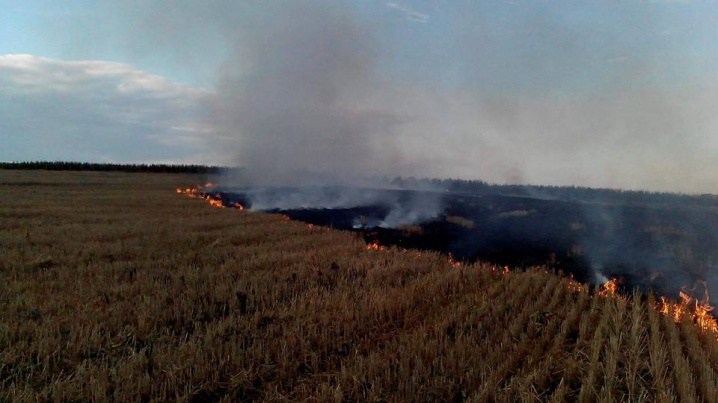 На Глибоччині згоріло майже 40 гектарів сухої трави