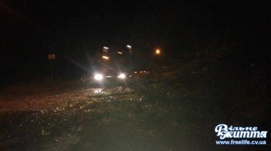 Уночі біля Кіцманської райлікарні впало дерево