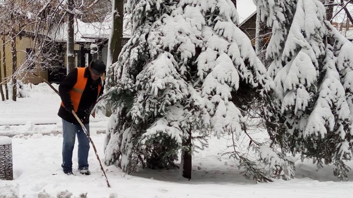 У парку дерева рятували від снігу