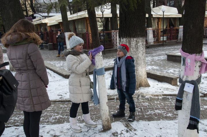 Чернівчани зав’язали шарфики на деревах