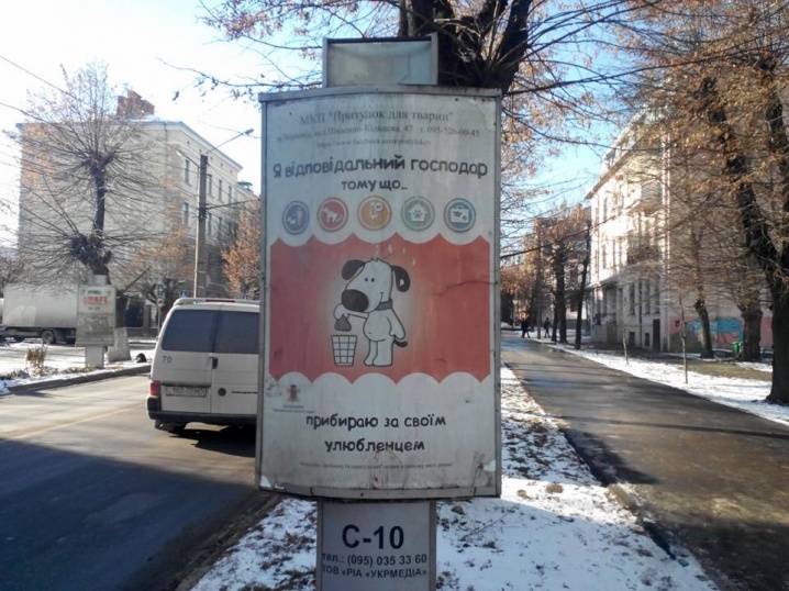 У Чернівцях з'явилась соціальна реклама на підтримку безпритульних тварин