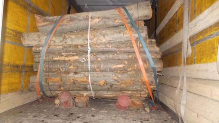 На Буковині контрабандисти сховали цигарки під деревиною