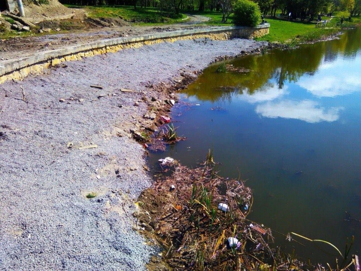 Підприємець викинув у озеро парку «Жовтневий» купу будівельного сміття