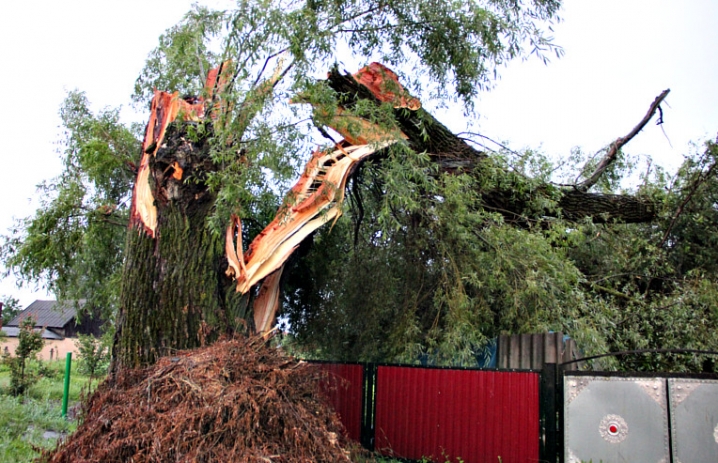 На Сторожинеччині після негоди – поламані дерева та зірвані з будинків дахи