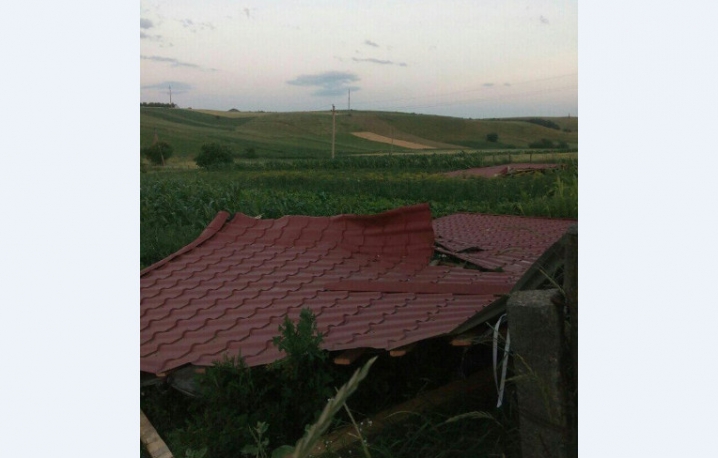 Буревій на Герцаївщині ламав дерева та зривав дахи