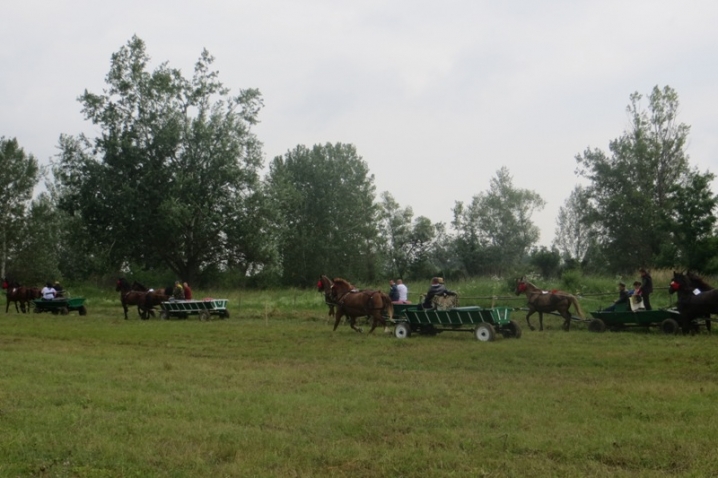 На Кіцманщині триває фестиваль коней