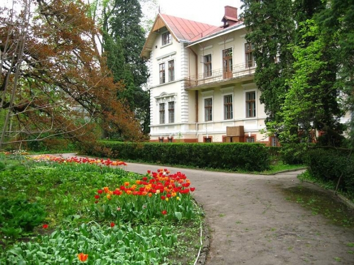 Чернівецький ботанічний сад потрапив до 10 найромантичніших місць України