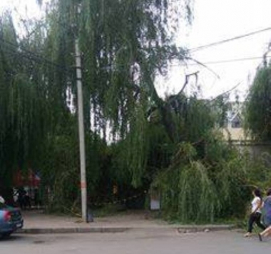 На вулиці Ентузіастів на магазин впало дерево