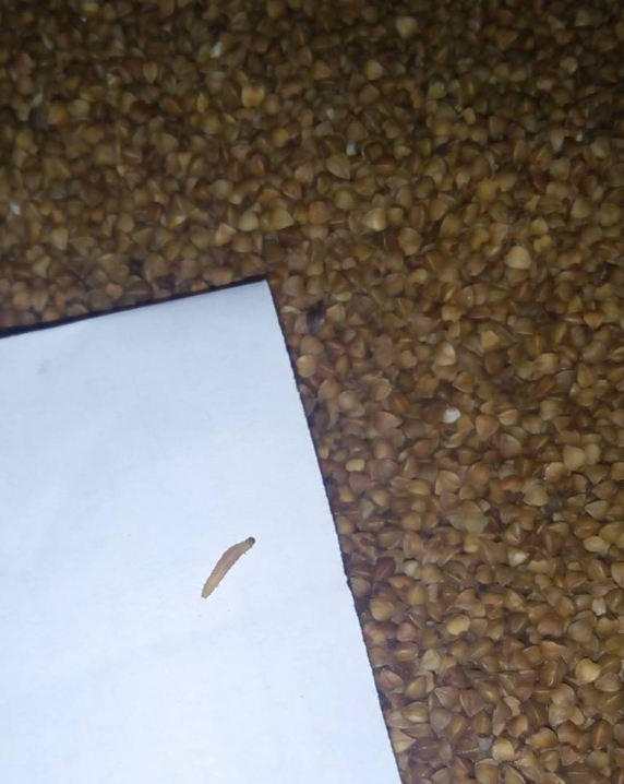 Чернівчанка знайшла черв'яка в упаковці гречки