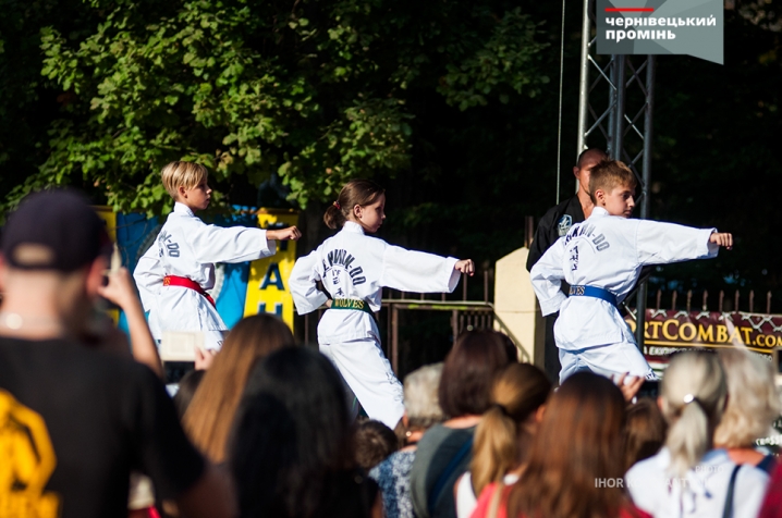 У Чернівцях відбувся фестиваль бойових мистецтв «CHERNIVTSI-2017»