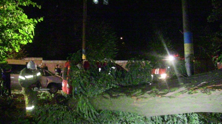У Чернівцях рятувальники звільняли автівки від повалених дерев