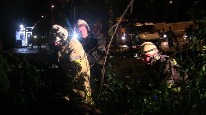 У Чернівцях рятувальники звільняли автівки від повалених дерев