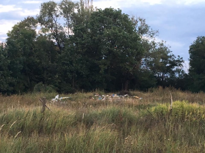 На Буковині на узбіччі дороги місцеві жителі утворили сміттєзвалище