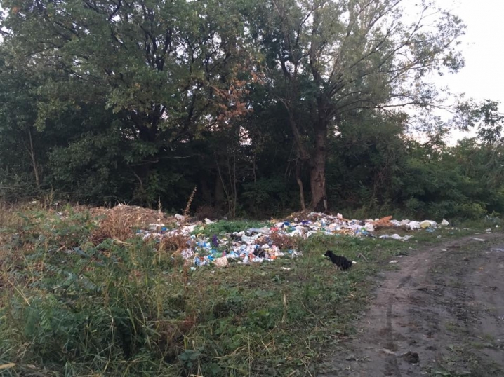 На Буковині на узбіччі дороги місцеві жителі утворили сміттєзвалище