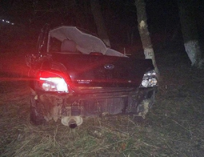 На Кіцманщині автівка в'їхала у дерево - четверо людей у лікарні