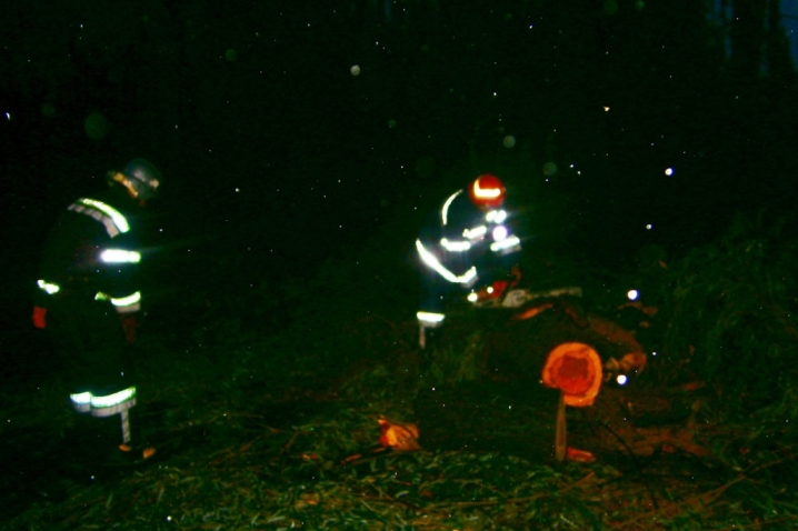 На Кіцманщині дерево впало на дорогу та травмувало чоловіка