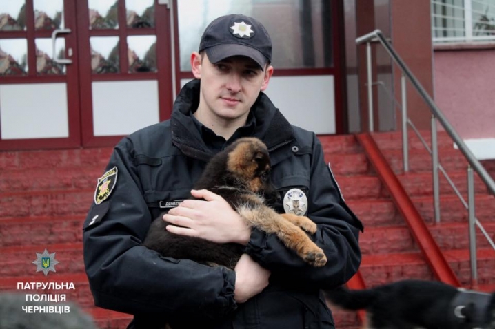 Поліціянти отримали двох німецьких вівчарок, які допомагатимуть патрулювати місто