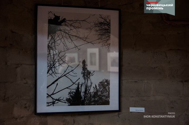 У Чернівцях відкрилася фотовиставка пейзажної фотографії «Оточення»