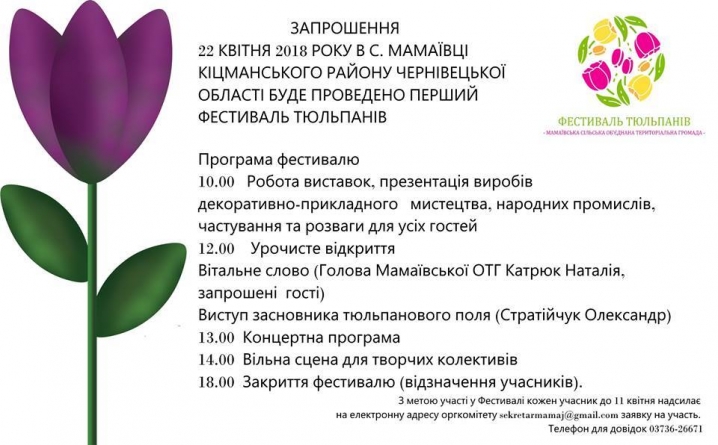Буковинців запрошують взяти участь у Фестивалі тюльпанів