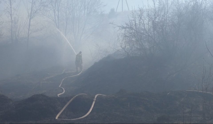 Протягом вихідних на Буковині сталися 36 пожеж