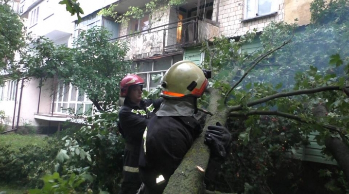 Повалені дерева пошкодили маршрутку та дві автівки у Чернівцях