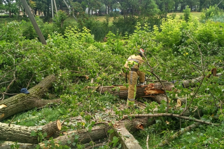 11 сіл на Буковині через негоду залишилися без електрики