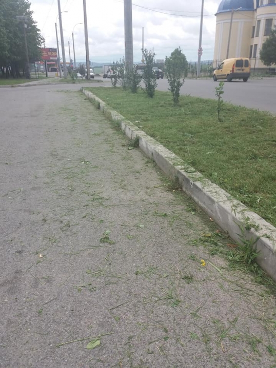 У Чернівцях не прибрана комунальниками скошена трава забила зливову каналізацію