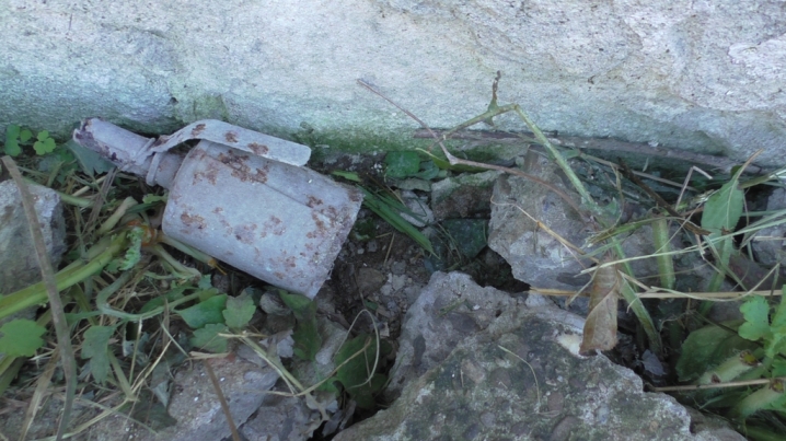 На Заставнівщині знайшли ручну гранату часів Другої світової війни