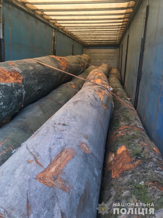На Буковині зупинили вантажівку, яка незаконно перевозила деревину