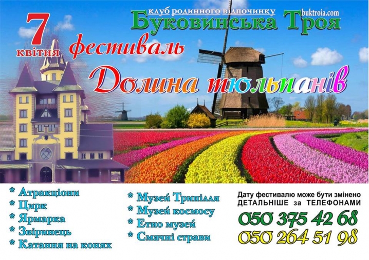 На Буковині пройде фестиваль «Долина тюльпанів»