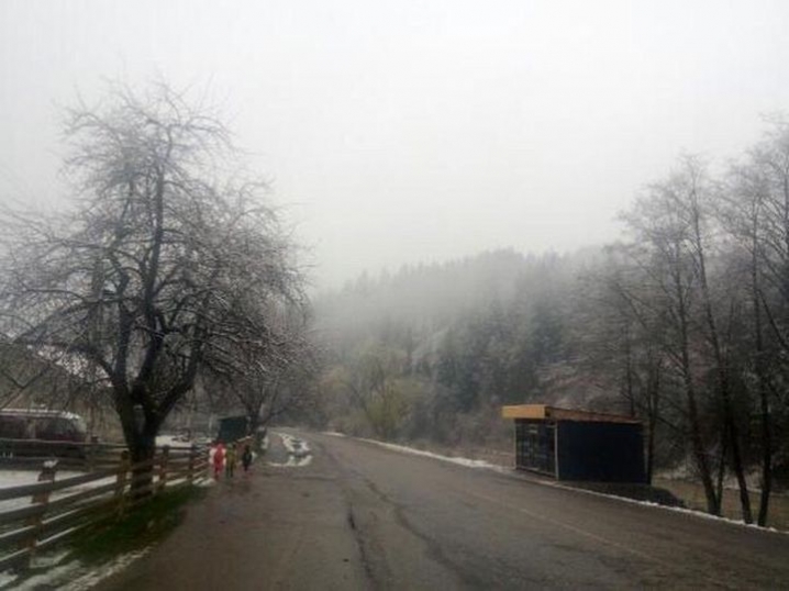 У гірських районах заморозки. На Путильщині випав сніг