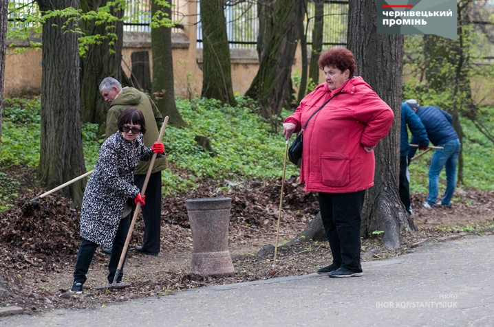 Чернівчани влаштували толоку у парку Шевченка