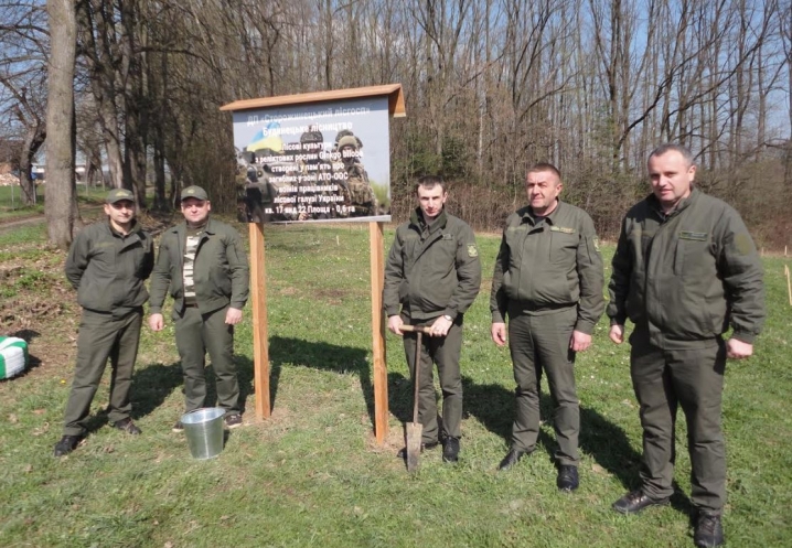 На Сторожинеччині висадили 400 дерев гінкго у пам'ять про лісівників, які полягли у боях на сході України