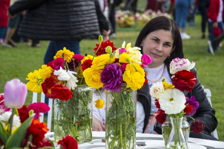 Тисячі людей приїхали на фестиваль тюльпанів у Мамаївці