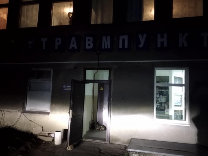 У Чернівцях в районі автовокзалу на жінку напали безпритульні собаки