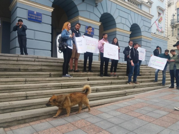 Під міською радою мітингують щодо безпритульних тварин і Стерилізаційного центру