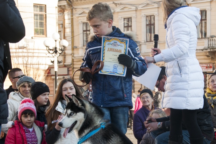 Чернівецькі діти влаштували акцію для безпритульних тварин