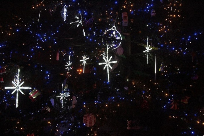 Буковинська ялинка радуватиме мешканців Запоріжжя, а опісля грітиме атовців Буковинська ялинка радуватиме мешканців Запоріжжя, а опісля грітиме атовців