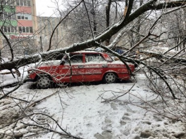 Через сильний снігопад у Харкові впало понад 500 дерев