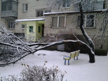 Через сильний снігопад у Харкові впало понад 500 дерев
