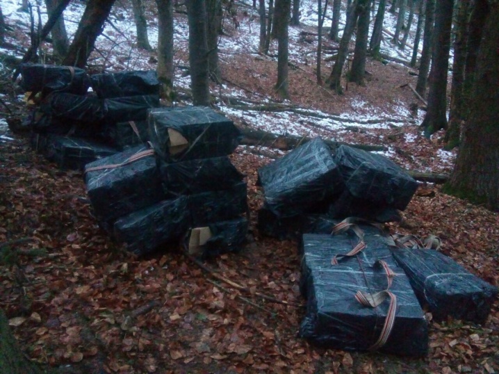 Буковинські прикордонники виявили у лісі схованку з цигарками