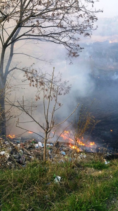 У мережі з’явилися фото пожежі поблизу Аврори у Чернівцях