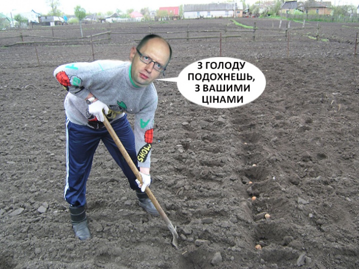 У Мережі з'явилися фотожаби про Яценюка у відставці 