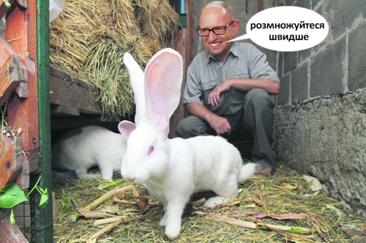 У Мережі з'явилися фотожаби про Яценюка у відставці 