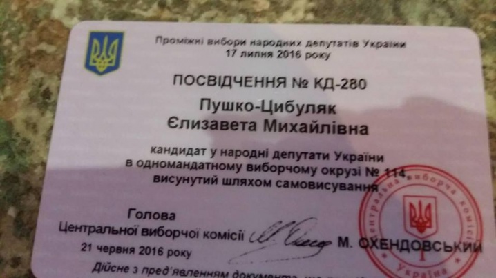 Буковинка візьме участь у виборах до Верховної Ради від Луганщини